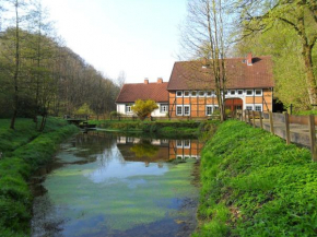 Ferienhaus Höllenmühle